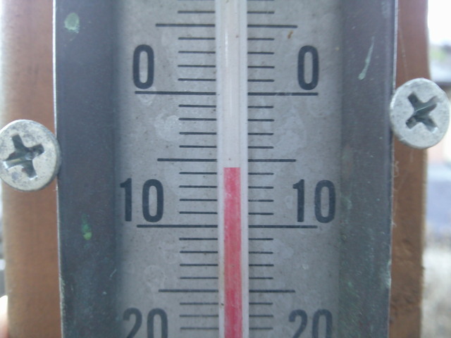 DSCF0109.JPG
