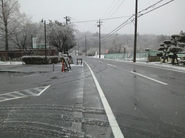 DSCF0129.JPG