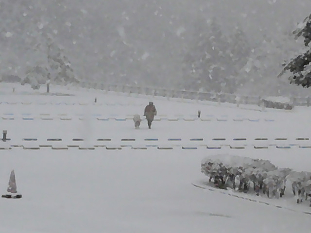DSCF0190.JPG