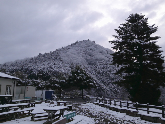 DSCF0714.JPG